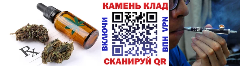 Cannafood конопля  блэк спрут   Болотное 